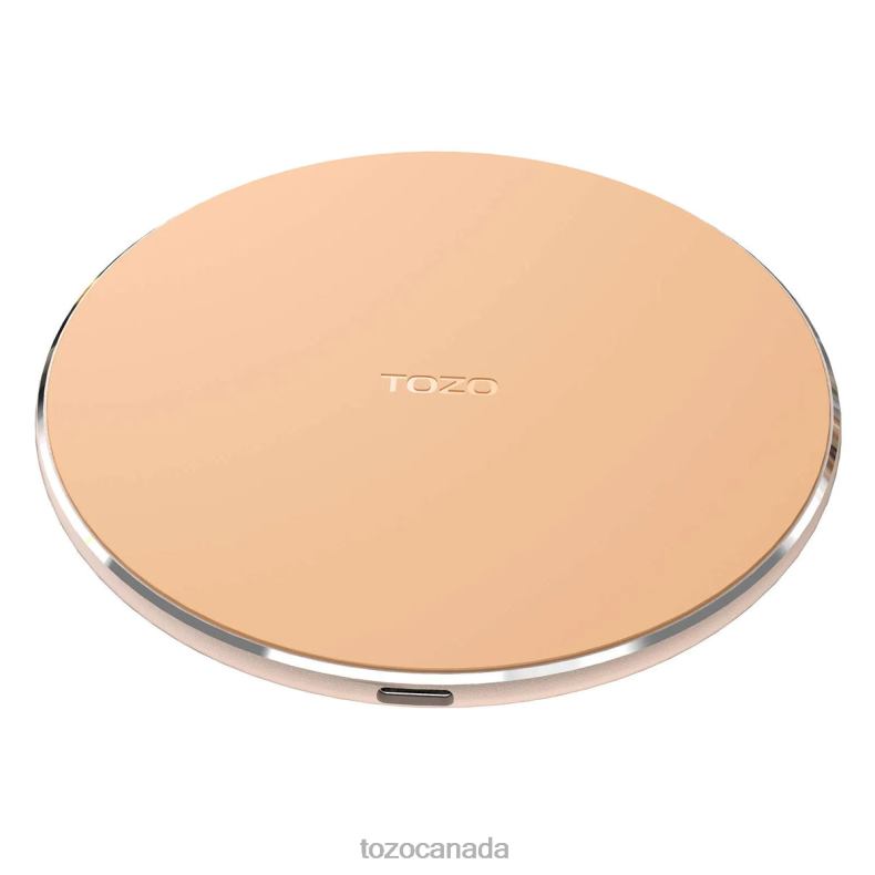 Accessory TOZO W1 Champagne D8244109