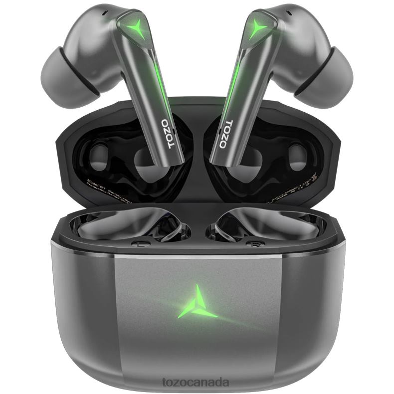 Headphones TOZO G1 Gray D824465